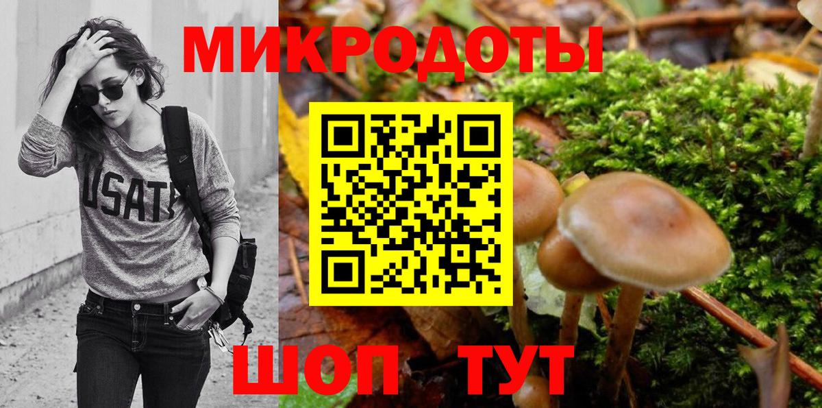 Псилоцибиновые грибы Psilocybe Арзамас