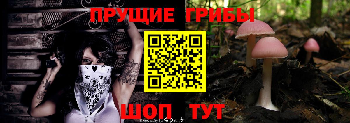 Галлюциногенные грибы MAGIC MUSHROOMS  Вход с VPN  Арзамас 
